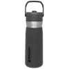 Stanley The IceFlow Flip Straw Water Bottle Charcoal 0.65L