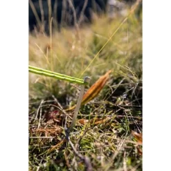 Coleman Cobra 3 -Camping Online Store Cobra20320217690820Lifestyle2016 550x550h